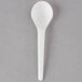 A white plastic spoon with a white handle.