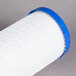 A white and blue Manitowoc Primary Tri-L water filter with a blue handle.