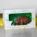 A lamb design window bakery box holding a chocolate bunny on grass.