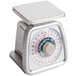 A silver Taylor TS25KL mechanical portion scale with a white dial.