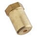 A brass threaded cylinder.