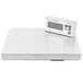 A Cardinal Detecto stainless steel electronic pizza scale on a white surface.