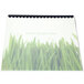 Swingline GBC 100% Recycled Frost Unpunched Binding System Covers on a spiral bound notebook with grass on it.