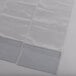 A Curtron display cooler strip curtain in clear plastic packaging.