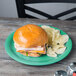 A sandwich and chips on a rainforest green narrow rim melamine plate.