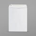 A white rectangular box with a corner containing Universal Peel Seal Catalog Envelopes.