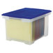 A clear plastic Storex file storage container with a blue lid.
