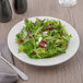 A plate of salad with cranberries and cheese served in a Schonwald Donna white porcelain bowl.