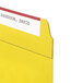 A yellow Smead file folder with a 1/3 cut tab and a name tag.