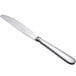 A silver stainless steel Chef & Sommelier Renzo dinner knife with a solid handle.