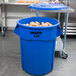 A blue Rubbermaid BRUTE trash can filled with potatoes.