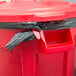 A red Rubbermaid BRUTE trash can with a black plastic bag around it.