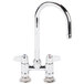 A chrome Equip by T&S deck-mounted faucet with a gooseneck spout and lever handles.