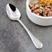 A Walco Pacific Rim stainless steel dessert spoon next to a bowl of chocolate ice cream.