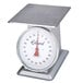 a close-up of a scale