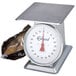 An Edlund heavy-duty receiving scale on a table with a bag of potatoes inside.