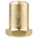 A close-up of a brass circular #65 hood orifice with a threaded surface.