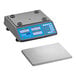 A grey and blue AvaWeigh digital price computing scale on a counter.