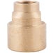 A close up of a brass threaded female fitting.