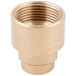 A brass threaded pipe fitting on a white background.