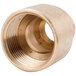 A brass nut threaded pipe fitting.