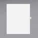 A white file folder tab with a blank space.