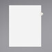 A white file folder with Avery E side tab divider labels.