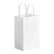 A bundle of 250 Gem white paper shopping bags with white handles.