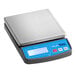 A silver AvaWeigh digital portion scale on a counter with a blue display.
