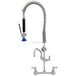 A Fisher low profile pre-rinse faucet with a flexible hose and sprayer.