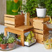 A group of wooden containers with fruit on a Rosseto Natura bakery block.