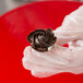 A hand holding a chocolate covered rose using an Ateco stainless steel flower nail.