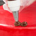 A hand using an Ateco Drop Flower piping tip to pipe white icing onto a red cake.
