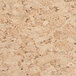 A close-up of a cork surface.