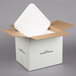 A Nordic insulated shipping box with a white styrofoam cooler inside.