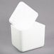 A white styrofoam container with a lid open.