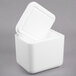 A white styrofoam box with a lid open.