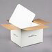 A Nordic TL2800K insulated shipping box with a white styrofoam cooler inside.
