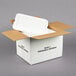 A white Nordic insulated shipping box with a white styrofoam cooler inside.