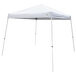 A Caravan Canopy white slant leg tent with two legs.