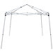 A white Caravan Canopy tent with metal poles.