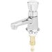 A T&S chrome metering faucet with a silver push button cap and gold nut.