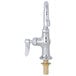 A silver T&S deck-mounted faucet with a brass lever handle.
