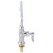A chrome T&S deck-mounted single hole faucet with a brass lever handle.