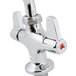 A chrome deck-mounted Equip by T&S faucet with lever handles.