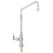 A T&S chrome deck-mounted faucet with a swing spout and lever handle.