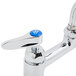 A T&S chrome deck-mounted faucet with lever handles.
