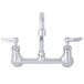 A T&S chrome wall mount faucet with two lever handles.