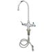 A T&S chrome deck-mounted pantry faucet with flex inlets and gooseneck spout.