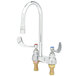 A close-up of a chrome T&S medical faucet with swivel gooseneck spout and wrist handles.
